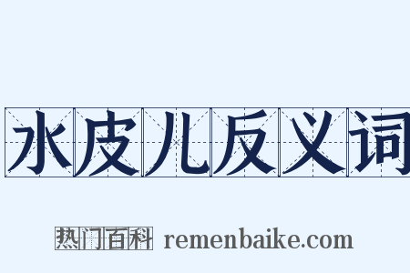 水皮儿反义词是什么意思的图片